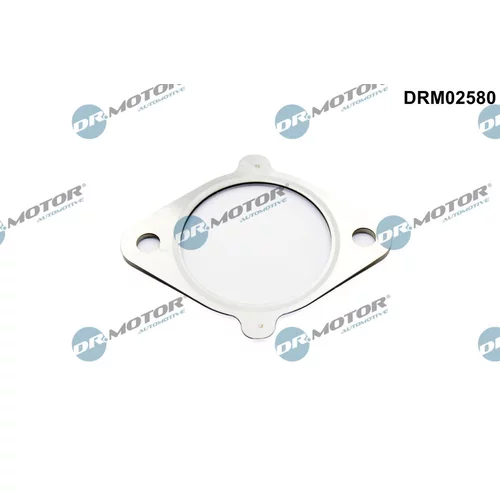 Tesnenie, EGR ventil DRM02580 (Dr.Motor Automotive)