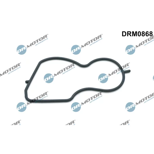 Tesnenie vákuového čerpadla Dr.Motor Automotive DRM0868