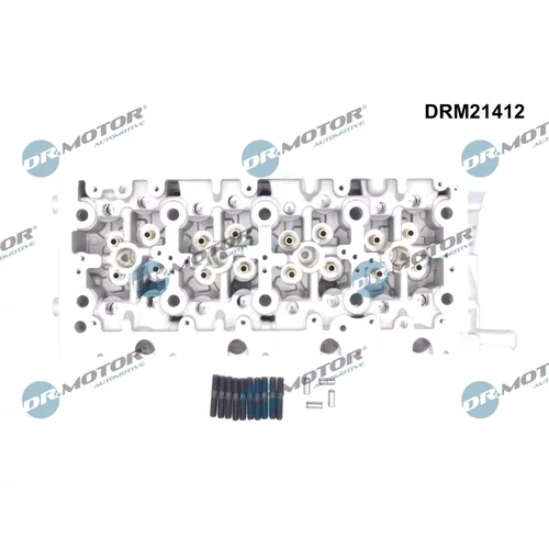 Hlava valcov motora DRM21412 (Dr.Motor Automotive) - obr. 1