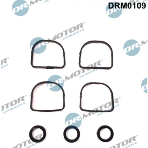 Sada tesnení kolena nasávacieho potrubia Dr.Motor Automotive DRM0109