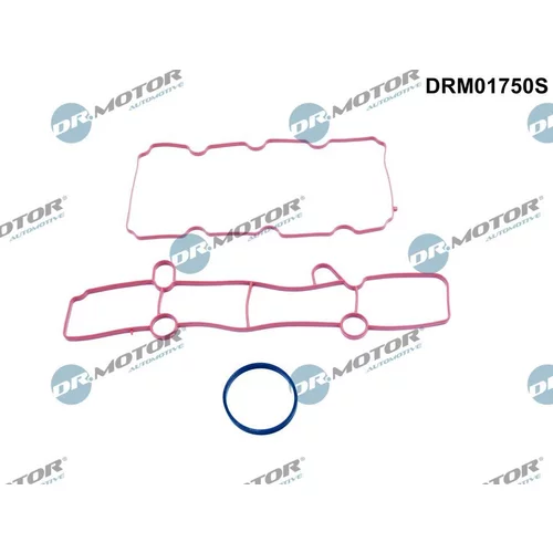 Sada tesnení kolena nasávacieho potrubia Dr.Motor Automotive DRM01750S