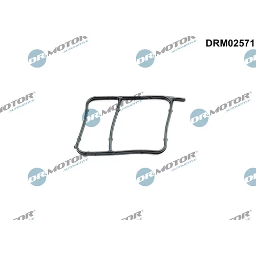 Tesnenie vodného čerpadla DRM02571 (Dr.Motor Automotive)