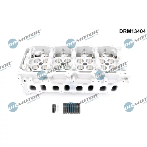 Hlava valcov motora Dr.Motor Automotive DRM13404