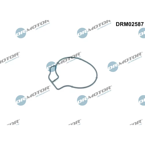 Tesnenie vákuového čerpadla DRM02587 (Dr.Motor Automotive)