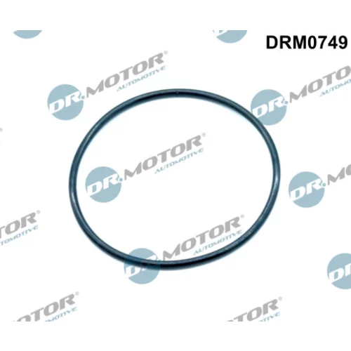 Tesnenie, EGR ventil Dr.Motor Automotive DRM0749