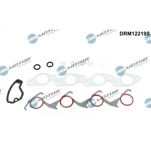 Kompletná sada tesnení motora Dr.Motor Automotive DRM12219S