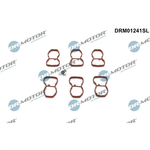 Súprava na opravu, modul sacej rúry Dr.Motor Automotive DRM01241SL