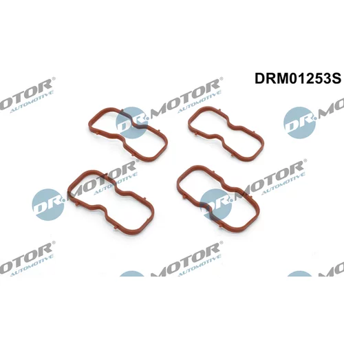 Sada tesnení kolena nasávacieho potrubia Dr.Motor Automotive DRM01253S