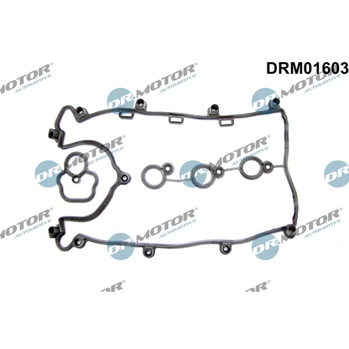 Sada tesnení veka hlavy valcov Dr.Motor Automotive DRM01603