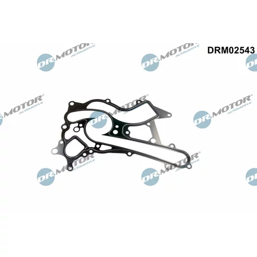 Tesnenie vodného čerpadla DRM02543 (Dr.Motor Automotive)