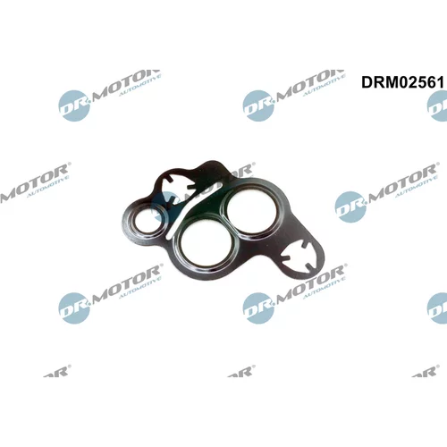 Tesnenie, EGR ventil Dr.Motor Automotive DRM02561