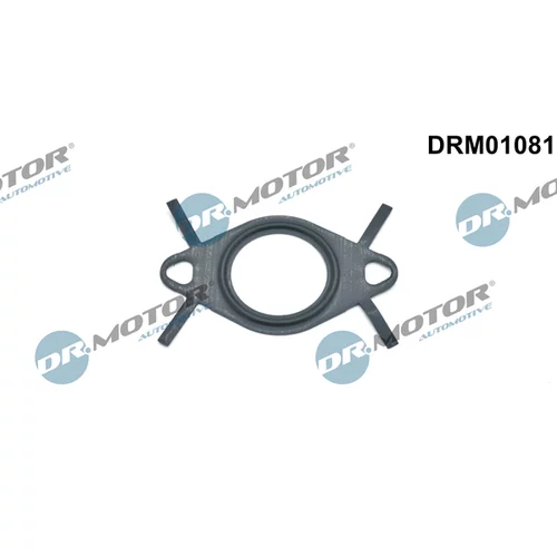 Tesnenie, Vedenie EGR ventilu Dr.Motor Automotive DRM01081