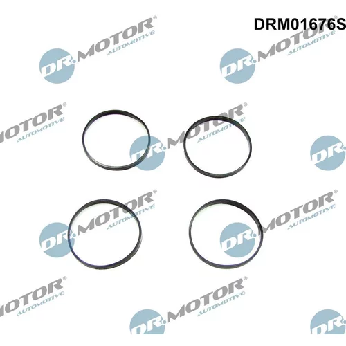 Sada tesnení kolena nasávacieho potrubia Dr.Motor Automotive DRM01676S