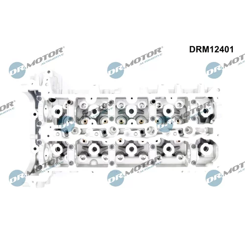 Hlava valcov motora Dr.Motor Automotive DRM12401 - obr. 1