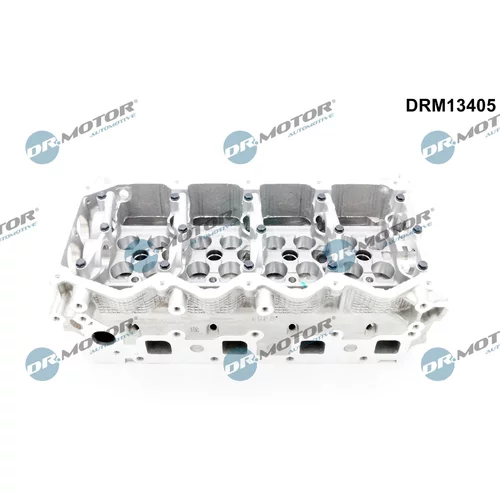 Hlava valcov motora Dr.Motor Automotive DRM13405