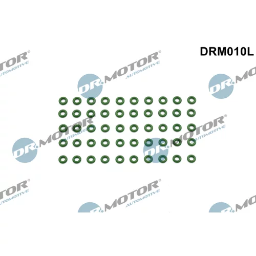 Tesniaci krúžok vstrekovacieho ventilu Dr.Motor Automotive DRM010L