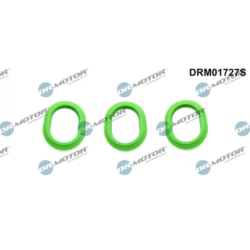 Sada tesnení kolena nasávacieho potrubia Dr.Motor Automotive DRM01727S