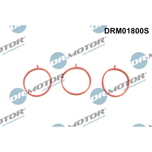 Sada tesnení kolena nasávacieho potrubia Dr.Motor Automotive DRM01800S