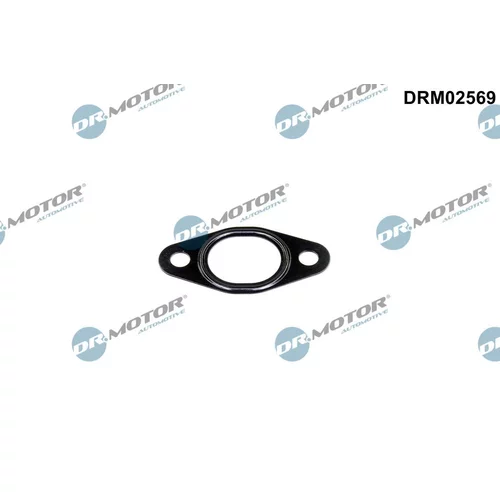 Tesnenie, Vedenie EGR ventilu DRM02569 (Dr.Motor Automotive)