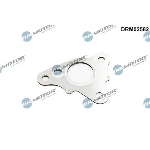 Tesnenie, Vedenie EGR ventilu Dr.Motor Automotive DRM02582