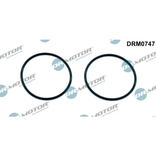 Tesnenie vákuového čerpadla Dr.Motor Automotive DRM0747