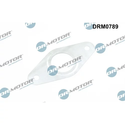 Tesnenie, Vedenie EGR ventilu Dr.Motor Automotive DRM0789