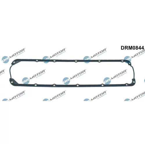 Tesnenie veka hlavy valcov Dr.Motor Automotive DRM0844