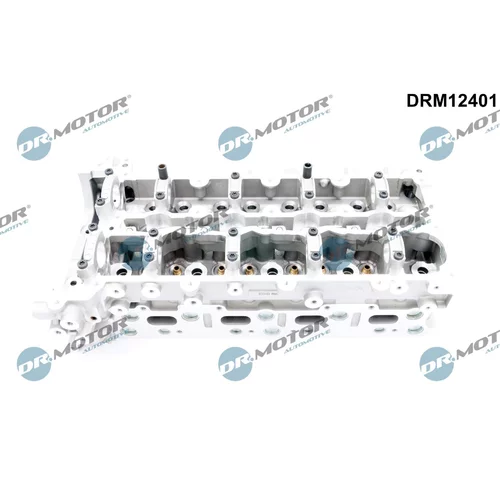 Hlava valcov motora Dr.Motor Automotive DRM12401