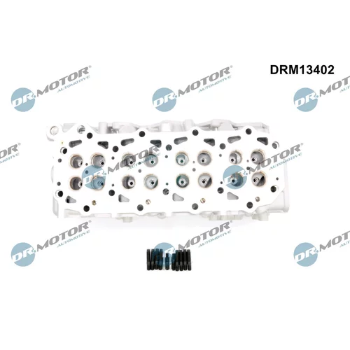 Hlava valcov motora DRM13402 (Dr.Motor Automotive) - obr. 1