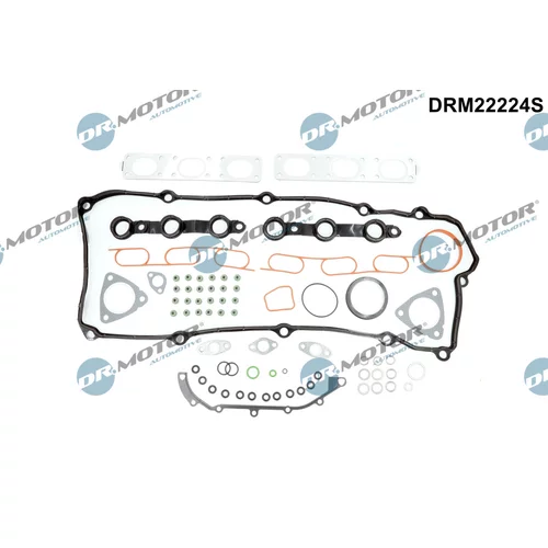 Kompletná sada tesnení motora DRM22224S (Dr.Motor Automotive)