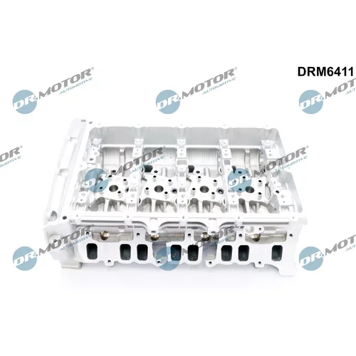 Hlava valcov motora Dr.Motor Automotive DRM6411