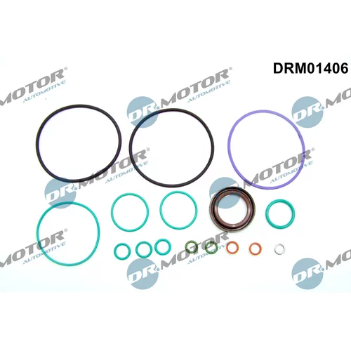 Sada na opravu palivového čerpadla DRM01406 (Dr.Motor Automotive)