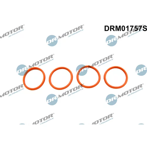 Sada tesnení kolena nasávacieho potrubia Dr.Motor Automotive DRM01757S