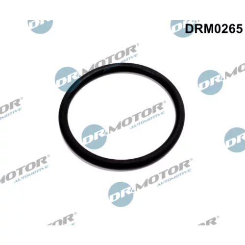 Tesnenie, Vedenie EGR ventilu Dr.Motor Automotive DRM0265