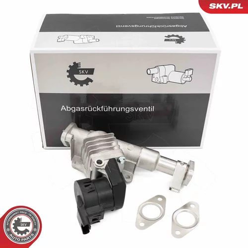 EGR ventil ESEN SKV 14SKV287