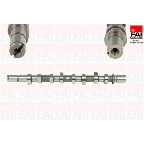 Vačkový hriadeľ C253 (FAI AutoParts)