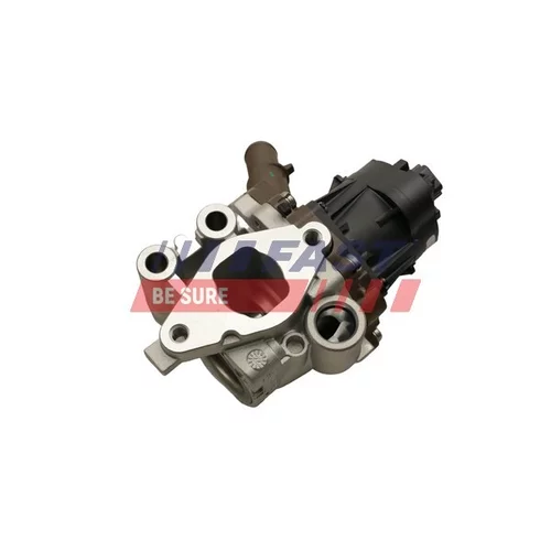 EGR ventil FT60248 /FAST/