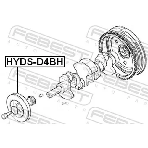 Remenica kľukového hriadeľa FEBEST HYDS-D4BH - obr. 1