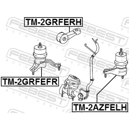 Uloženie motora FEBEST TM-2GRFEFR - obr. 1