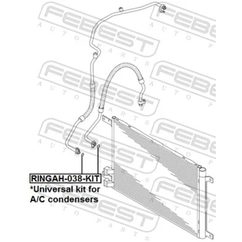 Tesniaci krúžok, vedenie chladiacej kvapaliny FEBEST RINGAH-038-KIT - obr. 1