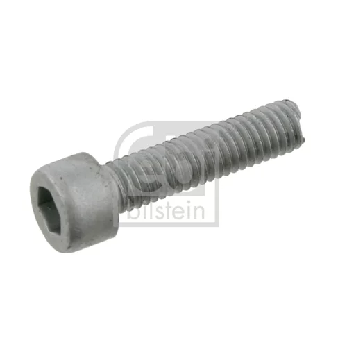 Skrutka FEBI BILSTEIN 08953