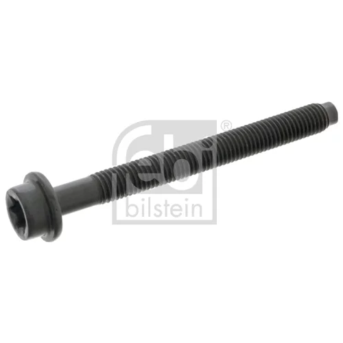 Skrutka hlavy valcov FEBI BILSTEIN 05541