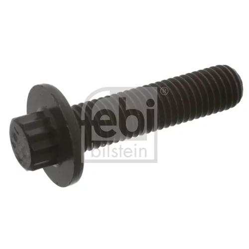 Skrutka FEBI BILSTEIN 43413