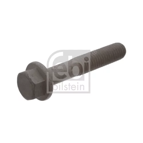 Skrutka remenice FEBI BILSTEIN 33822