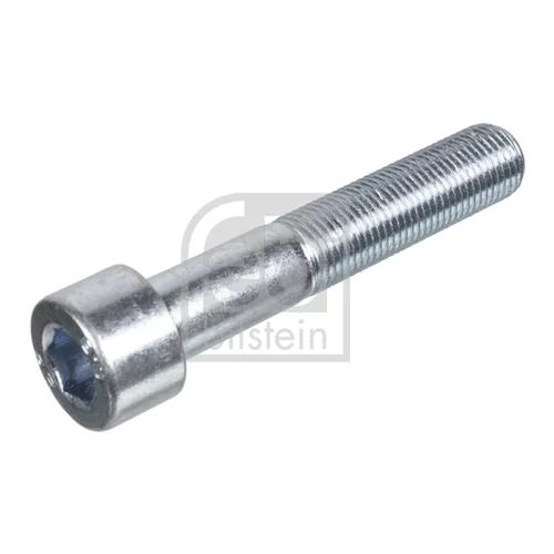 Skrutka FEBI BILSTEIN 09110