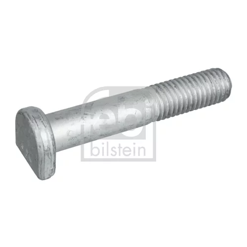 Skrutka FEBI BILSTEIN 48828