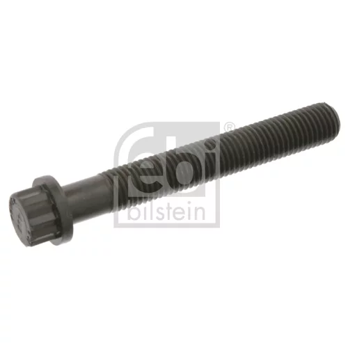 Skrutka hlavy valcov FEBI BILSTEIN 02499