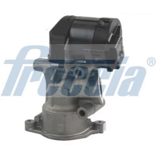 EGR ventil FRECCIA EGR12-113