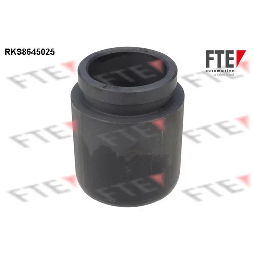 Piest brzdového strmeňa FTE RKS8645025