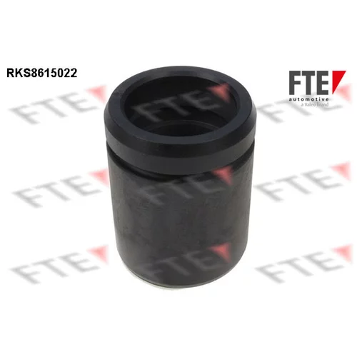 Piest brzdového strmeňa FTE RKS8615022